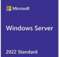 Microsoft Windows Server 2022 Remote Desktop Services - 1 User CAL - Office Software