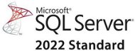 Microsoft SQL Server 2019 - 1 User CAL - Office Software