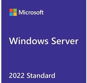 Microsoft Windows Server 2022 - 1 User CAL  Charity - Irodai szoftver