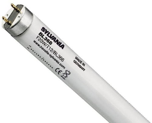 F36W T8 BL368 24" - Žárovka - Main image