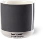 Pantone Latte termo 0,21 l Cool Gray - Hrnček