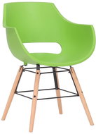 BHM Germany Jídelní židle Skien, zelená - Jídelní židle