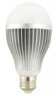 G21 LED E27 12W - LED Bulb