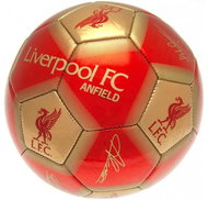 Liverpool FC: Signature - football size 5 - Football 