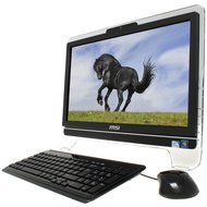 MSI WIND TOP AE2040-008CS - All In One PC