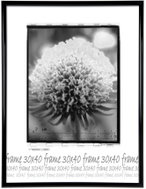 Tradag Fotorámeček 30×40 černý - Fotorámeček
