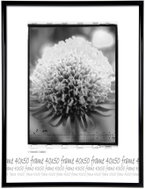 Tradag Fotorámeček 40×50 černý - Fotorámeček