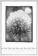 Tradag Fotorámeček 40×60 bílý - Fotorámeček