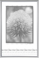 Tradag Fotorámeček 40×60 stříbrný - Fotorámeček