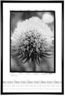 Tradag Fotorámeček 40×60 černý - Fotorámeček