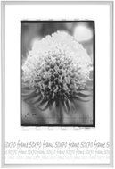 Tradag Fotorámeček 50×70 bílý - Fotorámeček