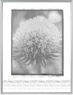 Tradag Fotorámeček 70×100 stříbrný - Fotorámeček