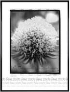 Tradag Fotorámeček 70×100 černý - Fotorámeček