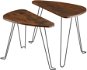 TecTake Sada 2 odkládacích stolků Richmond - Industrial tmavé dřevo - Odkládací stolek