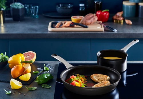 Tefal Excellence Wok