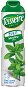 Teisseire Mint 0,6 l 0 % - Sirup