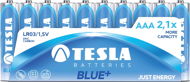 Tesla Batteries AAA Blue + 10pcs - Disposable Battery