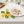 DELICIA cutters 8 pcs 630903.00