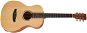 TANGLEWOOD TWR2 PE - Acoustic-Electric Guitar