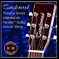 TANGLEWOOD Acoustic Guitar Strings 11 Custom Light - Struny
