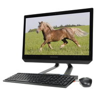 Lenovo IdeaCentre C320 - All In One PC