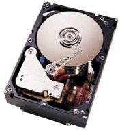 Lenovo System x 3.5 &quot;HDD 1TB 6G NL SATA 7200 ot. G2 Simple Swap - Serverový disk