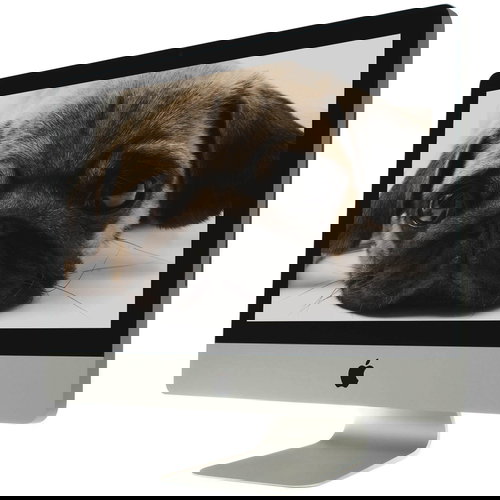 APPLE iMac 27" - Computer - Main image