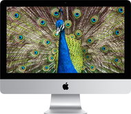 iMac 21.5 "SK Retina 4K 2017 with VESA Adapter - All In One PC