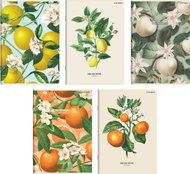 TOP 2000 Summer Harvest Club A5 564, lined, 60 sheets (1 pcs) - Exercise Book