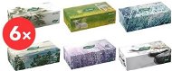 TENTO Family box (6×120 pcs), Mix of Colours - Tissues