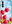 Tulips 138334