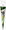 – Football
