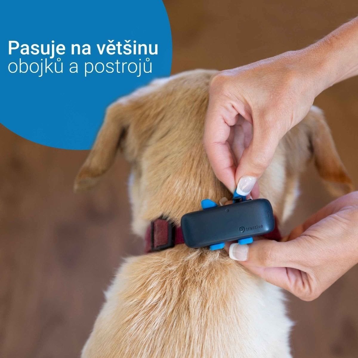 Tractive GPS DOG 4 - GPS Locator and Activity Tracker for Dogs