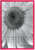 Tradag Photo frame 13 × 18 red - Photo Frame