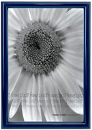 Tradag Photo frame 13 × 18 blue - Photo Frame