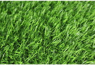 Trade Concept Kusový Pure Green, 200 × 200 - Grass Carpet