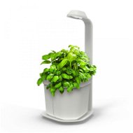 Tregren Genie Kitchen Garden White - Flower Pot