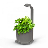 Tregren Genie Kitchen Garden Grey - Flower Pot