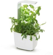 TREGREN T3 Kitchen Garden, White - Smart Flower Pot