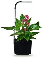 TREGREN T3 Kitchen Garden, Black - Smart Flower Pot