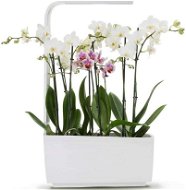 TREGREN T6 Kitchen Garden, White - Smart Flower Pot