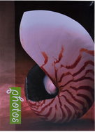 Tradag Mini Conch - Photo Album