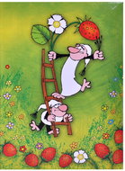 Tradag Kremilek and Vochomurka on Strawberries - Photo Album