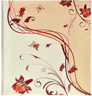 Tradag Butterfly - Photo Album