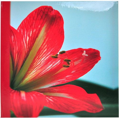 Tradag Clivia Memo - Photo Album - Main image