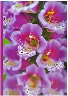 Tradag Digitalis Flower - Photo Album