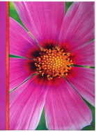Tradag Photo Album Violeta 9x13 - Photo Album