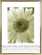 Tradag Photo Frame 30 x 40 Gold - Photo Frame