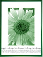 Tradag Photo Frame 40 x 50cm Green - Photo Frame