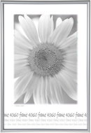 Tradag Photo Frame 40 x 60 Silver - Photo Frame